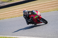 enduro-digital-images;event-digital-images;eventdigitalimages;mallory-park;mallory-park-photographs;mallory-park-trackday;mallory-park-trackday-photographs;no-limits-trackdays;peter-wileman-photography;racing-digital-images;trackday-digital-images;trackday-photos